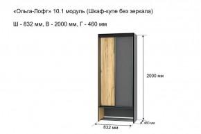 Шкаф купе без зеркала "Ольга-Лофт 10.1" в Перми - perm.ok-mebel.com | фото 3