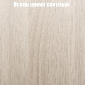 Шкаф-купе «ТАНДЕМ» 2-х дверный в алюминиевом профиле (Дверь К+К) 1200/h2200 в Перми - perm.ok-mebel.com | фото 6