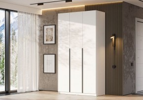 Шкаф платяной Даиго в Перми - perm.ok-mebel.com | фото 3