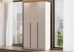 Шкаф платяной Даиго в Перми - perm.ok-mebel.com | фото 2