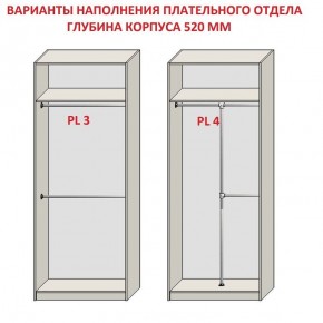 Шкаф распашной серия «ЗЕВС» (PL3/С1/PL2) в Перми - perm.ok-mebel.com | фото 10