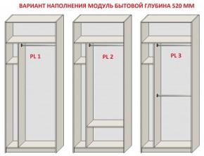 Шкаф распашной серия «ЗЕВС» (PL3/С1/PL2) в Перми - perm.ok-mebel.com | фото 5