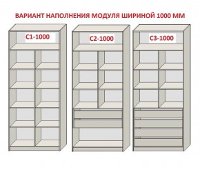 Шкаф распашной серия «ЗЕВС» (PL3/С1/PL2) в Перми - perm.ok-mebel.com | фото 7