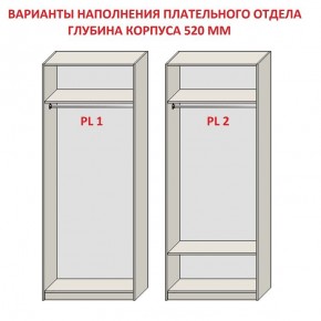 Шкаф распашной серия «ЗЕВС» (PL3/С1/PL2) в Перми - perm.ok-mebel.com | фото 9