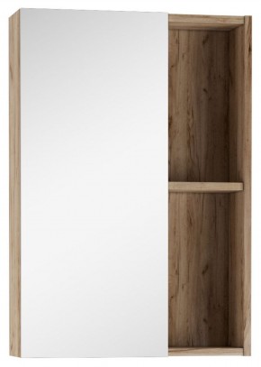 Шкаф-зеркало Craft 50 левый/правый Домино (DCr2212HZ) в Перми - perm.ok-mebel.com | фото 1