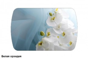 Стол Бостон 900*600 (опоры Брифинг) Стекло/фотопечать Белая Орхидея в Перми - perm.ok-mebel.com | фото