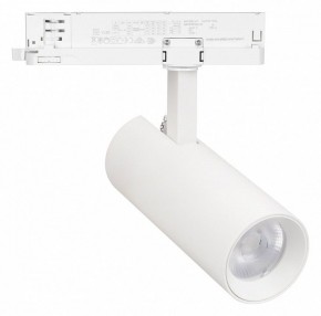 Светильник на штанге Arlight GERA 055070 в Перми - perm.ok-mebel.com | фото