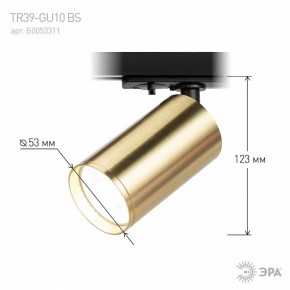 Светильник на штанге Эра  TR39-GU10 BS в Перми - perm.ok-mebel.com | фото 6