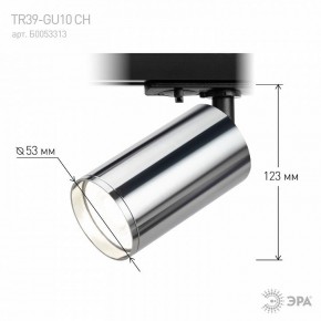 Светильник на штанге Эра  TR39-GU10 СН в Перми - perm.ok-mebel.com | фото 7