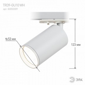 Светильник на штанге Эра  TR39-GU10 WH в Перми - perm.ok-mebel.com | фото 7