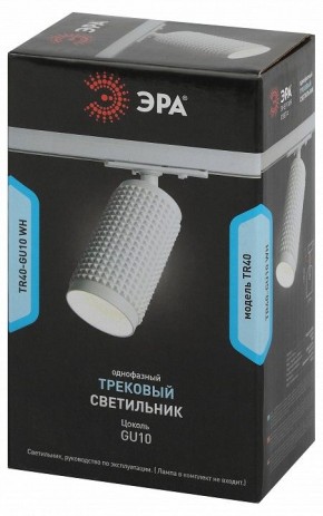 Светильник на штанге Эра  TR40-GU10 WH в Перми - perm.ok-mebel.com | фото 7