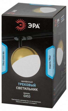 Светильник на штанге Эра  TR42-GX53 BS в Перми - perm.ok-mebel.com | фото 6