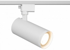 Светильник на штанге Эра  TR59 - 3030 WH в Перми - perm.ok-mebel.com | фото