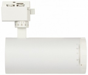 Светильник на штанге Эра  TR59 - 3030 WH в Перми - perm.ok-mebel.com | фото 4
