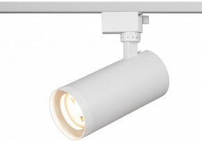 Светильник на штанге Эра  TR59 - 3030 WH в Перми - perm.ok-mebel.com | фото 5
