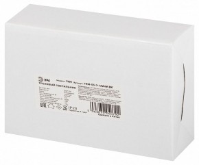 Светильник на штанге Эра  TRM-S5-3-12W4K-BK в Перми - perm.ok-mebel.com | фото 8