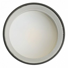 Светильник на штанге Feron ML1001 51371 в Перми - perm.ok-mebel.com | фото 4