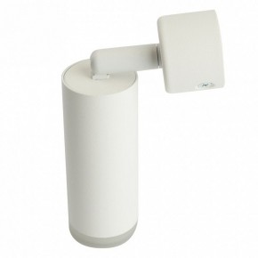 Светильник на штанге Feron ML1021 51390 в Перми - perm.ok-mebel.com | фото 3