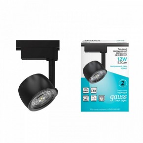 Светильник на штанге Gauss Track Light TR053 в Перми - perm.ok-mebel.com | фото 3