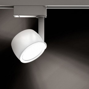 Светильник на штанге Gauss Track Light TR054 в Перми - perm.ok-mebel.com | фото 2