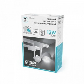 Светильник на штанге Gauss Track Light TR054 в Перми - perm.ok-mebel.com | фото 5