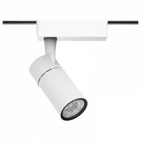 Светильник на штанге Gauss Track Light TR059 в Перми - perm.ok-mebel.com | фото