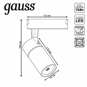 Светильник на штанге Gauss Track Light TR060 в Перми - perm.ok-mebel.com | фото 5