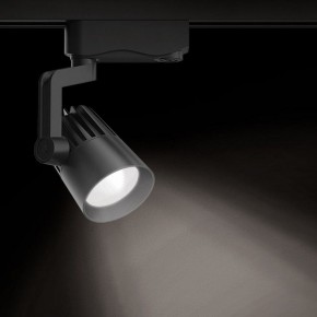 Светильник на штанге Gauss Track Light TR061 в Перми - perm.ok-mebel.com | фото 2