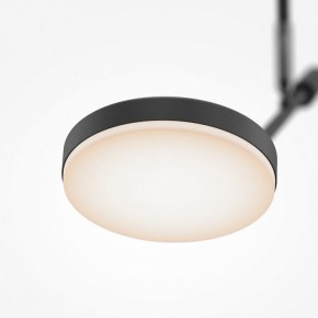 Светильник на штанге Maytoni Fad MOD070CL-L8B3K в Перми - perm.ok-mebel.com | фото 4