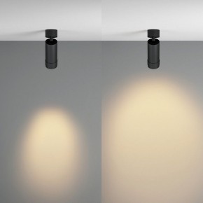Светильник на штанге Maytoni Focus Zoom C055CL-L12W2.7K-Z-B в Перми - perm.ok-mebel.com | фото 3