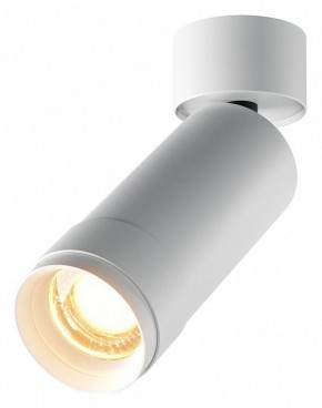 Светильник на штанге Maytoni Focus Zoom C055CL-L12W2.7K-Z-W в Перми - perm.ok-mebel.com | фото