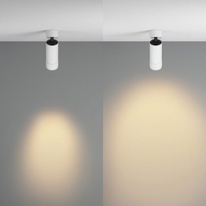 Светильник на штанге Maytoni Focus Zoom C055CL-L12W2.7K-Z-W в Перми - perm.ok-mebel.com | фото 3