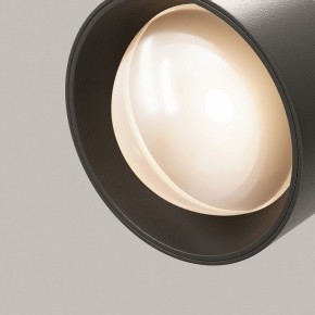 Светильник на штанге Maytoni Lens TR217-2-15W3K-B в Перми - perm.ok-mebel.com | фото 12