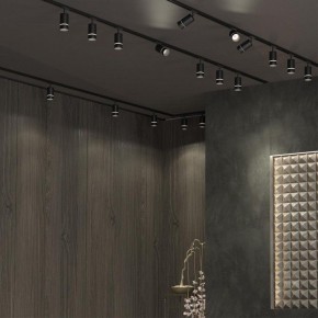 Светильник на штанге Novotech Elina 370777 в Перми - perm.ok-mebel.com | фото 4