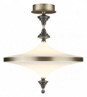 Светильник на штанге Odeon Light Ula 5404/43CL в Перми - perm.ok-mebel.com | фото 2