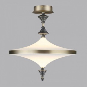 Светильник на штанге Odeon Light Ula 5404/43CL в Перми - perm.ok-mebel.com | фото 3