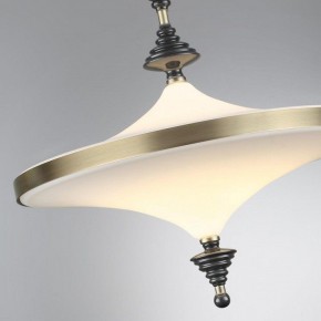 Светильник на штанге Odeon Light Ula 5404/43CL в Перми - perm.ok-mebel.com | фото 6