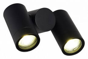 Светильник на штанге ST-Luce Ecollo SL9011.402.02 в Перми - perm.ok-mebel.com | фото 3