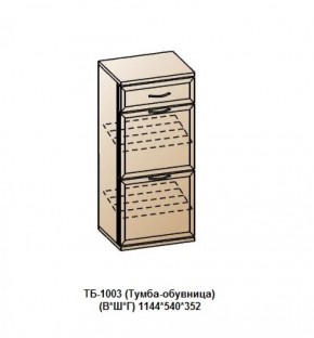 ТБ-1003 (Тумба-обувница) в Перми - perm.ok-mebel.com | фото