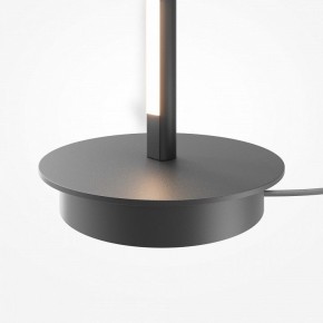 Торшер Maytoni Thin MOD395FL-L28B3K в Перми - perm.ok-mebel.com | фото 8