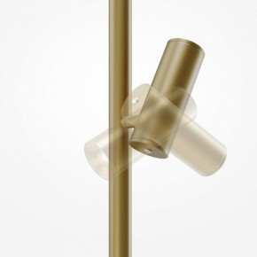 Торшер Maytoni Thin MOD395FL-L28BS3K в Перми - perm.ok-mebel.com | фото 6