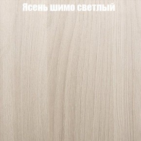 ВЕНЕЦИЯ Стенка (3400) ЛДСП в Перми - perm.ok-mebel.com | фото 6